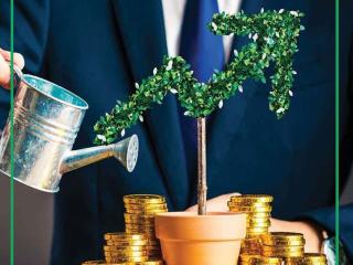 Risk Management and Diversification